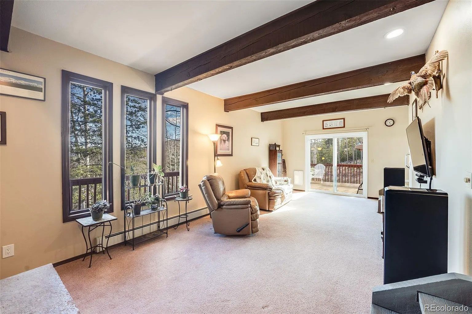 A living room with a couch, television, and sliding glass doors.