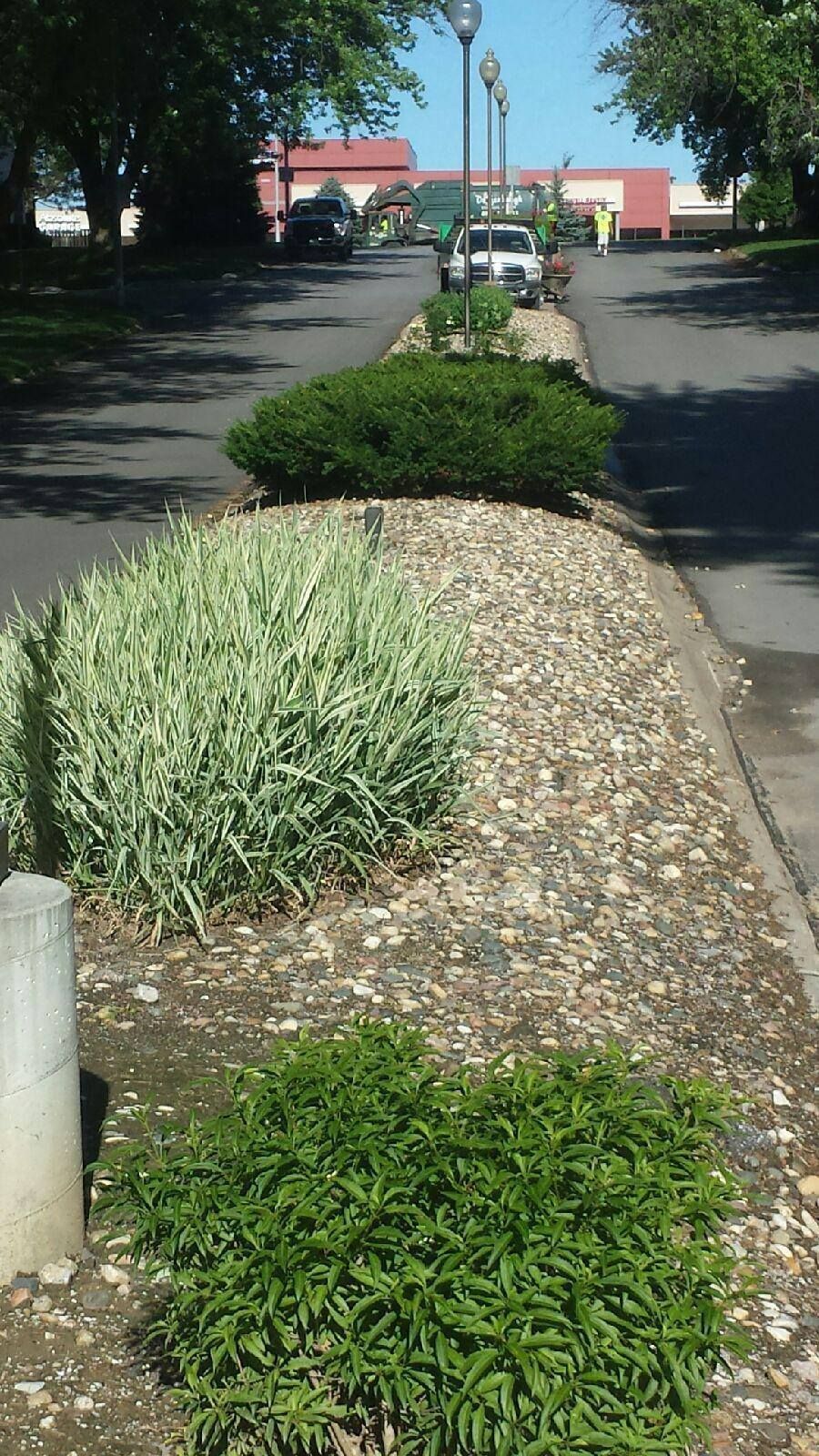 Commercial landscape