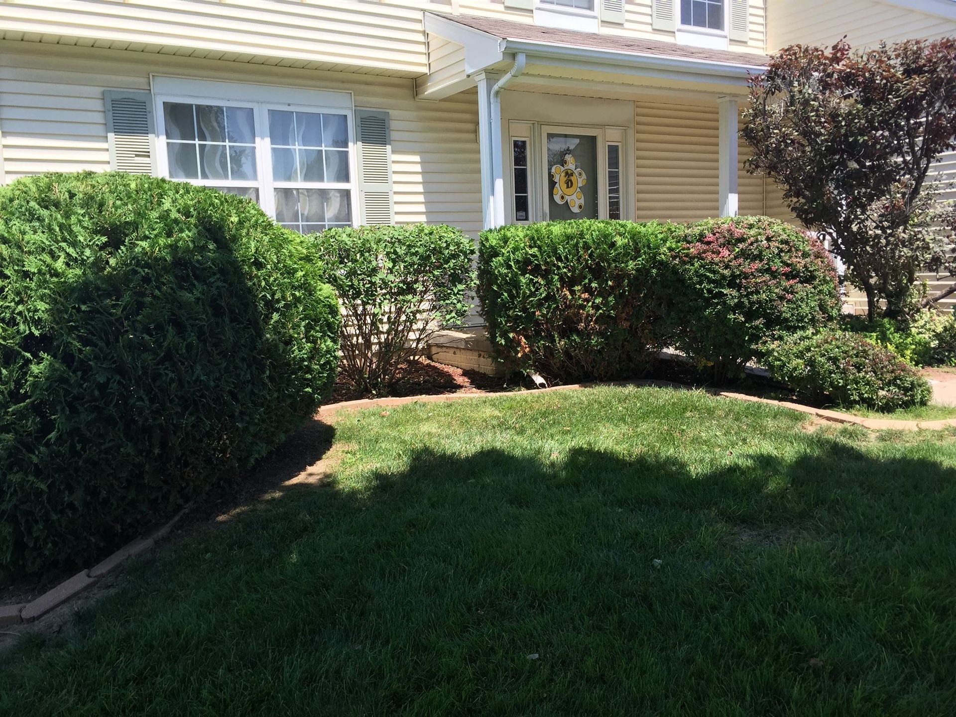 Residential landscape