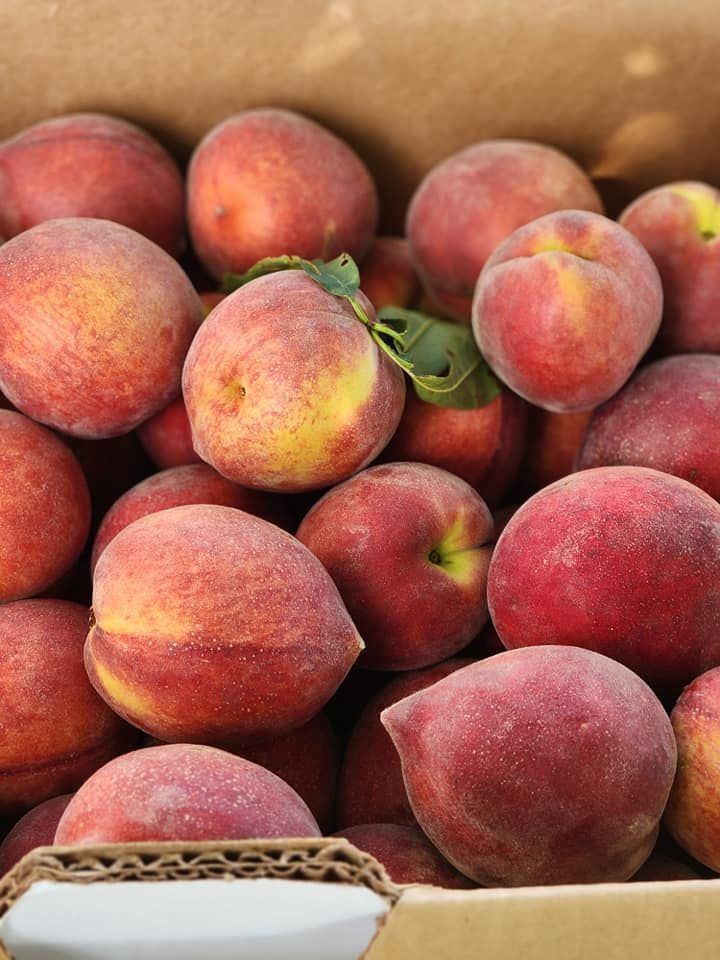 fresh peaches