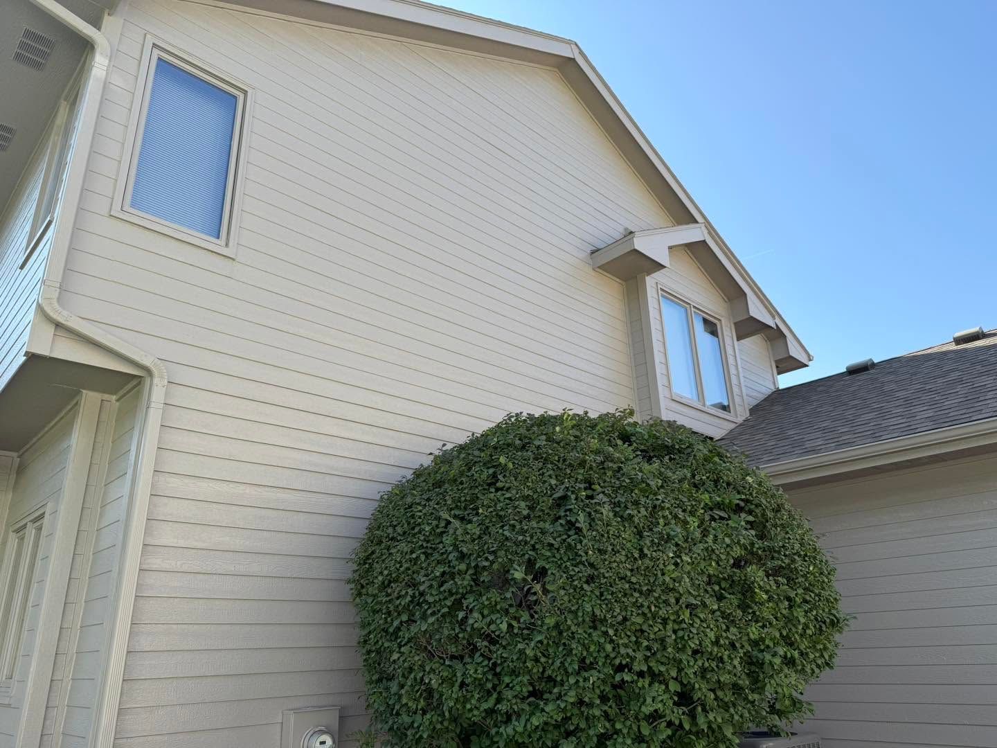 Beige house exterior with white trim and a large round green shrub by the wall.