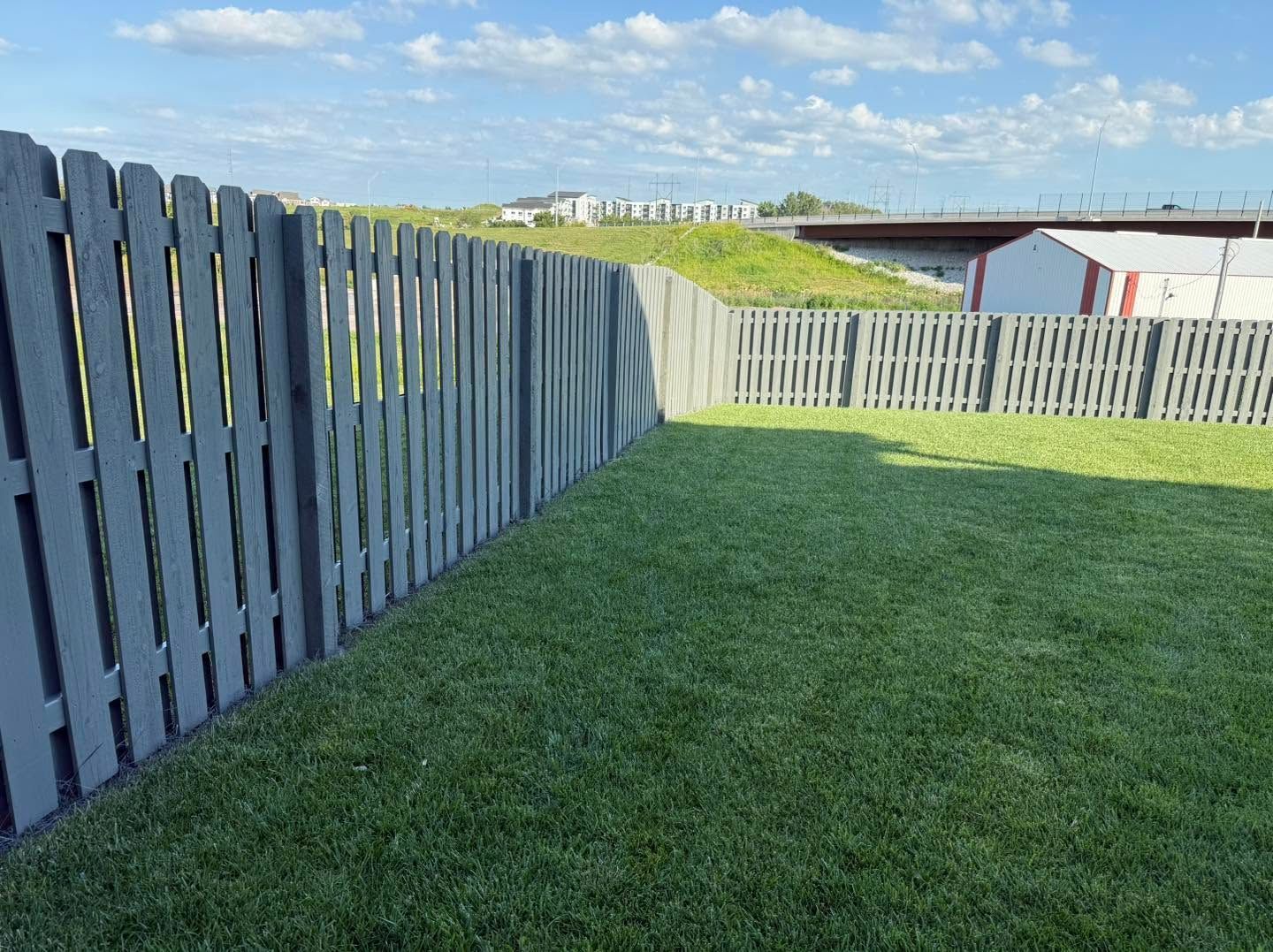 Backyard with green lawn, white picket fence, and blue sky on a sunny day