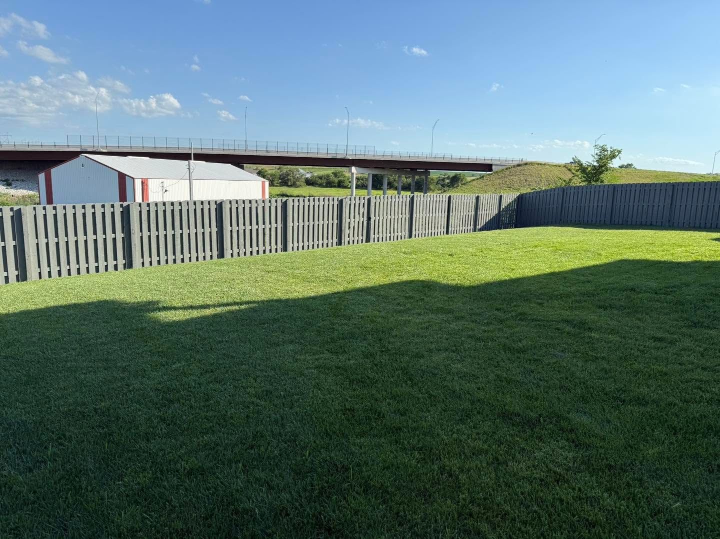 Sunny backyard with green lawn, wooden fence, and white shed under blue sky