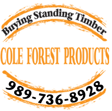 Cole Forest Products - Tree Harvesting - Lincoln, MI