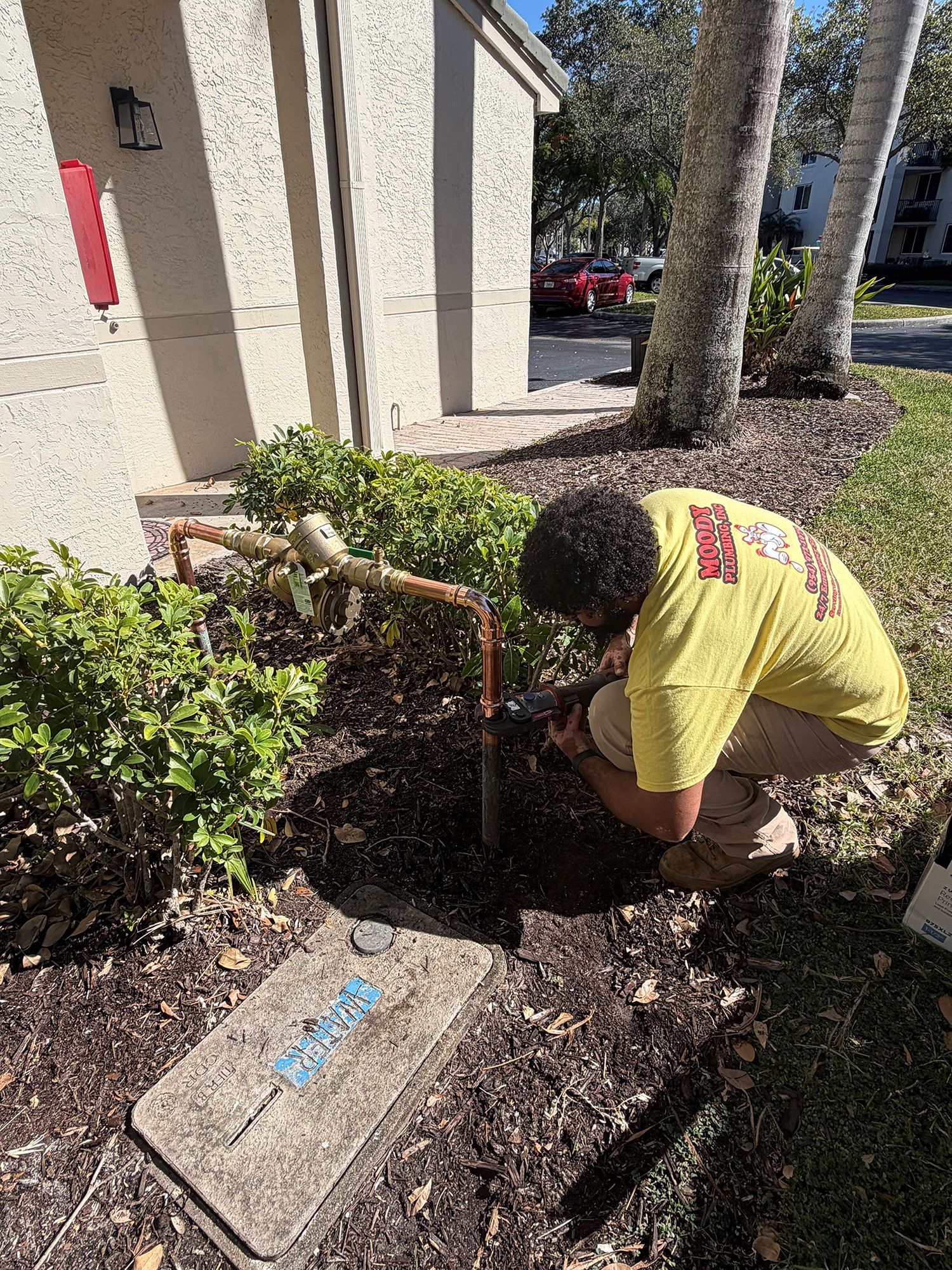 Worker fixing a backflow