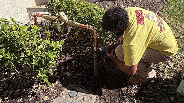 A public restroom with a long row of sinks and mirrors.