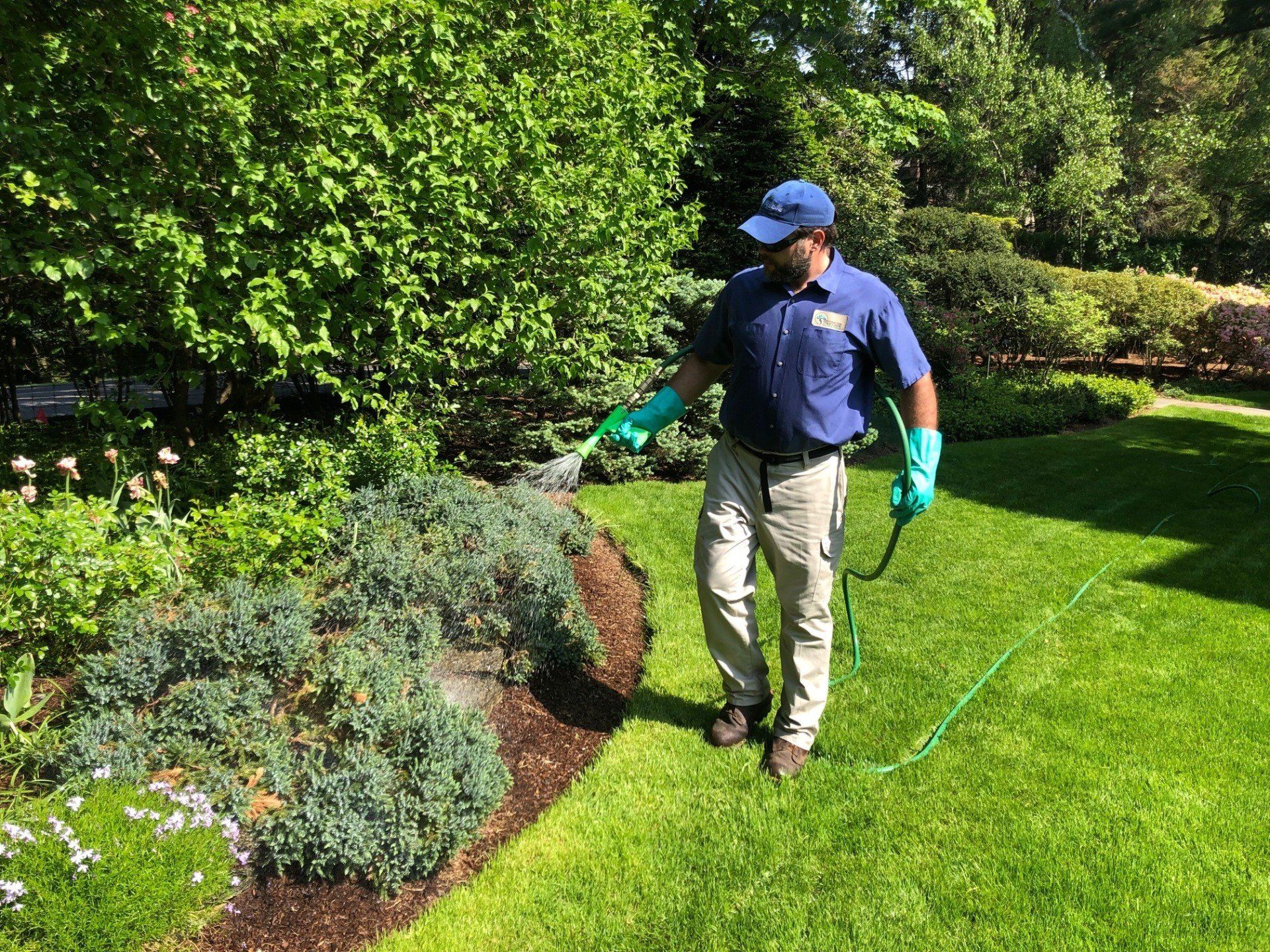 Shrub Care Ardsley, NY Scarsdale, NY
