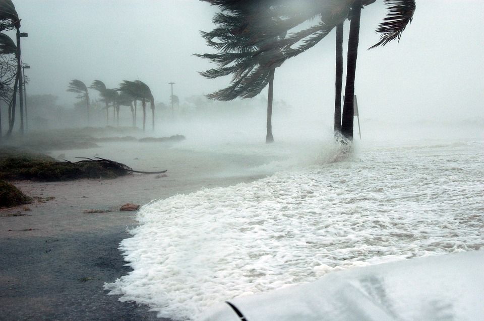 Stormy beach with crashing waves, wind-bent palm trees, and heavy rain or spray obscuring the shoreline
