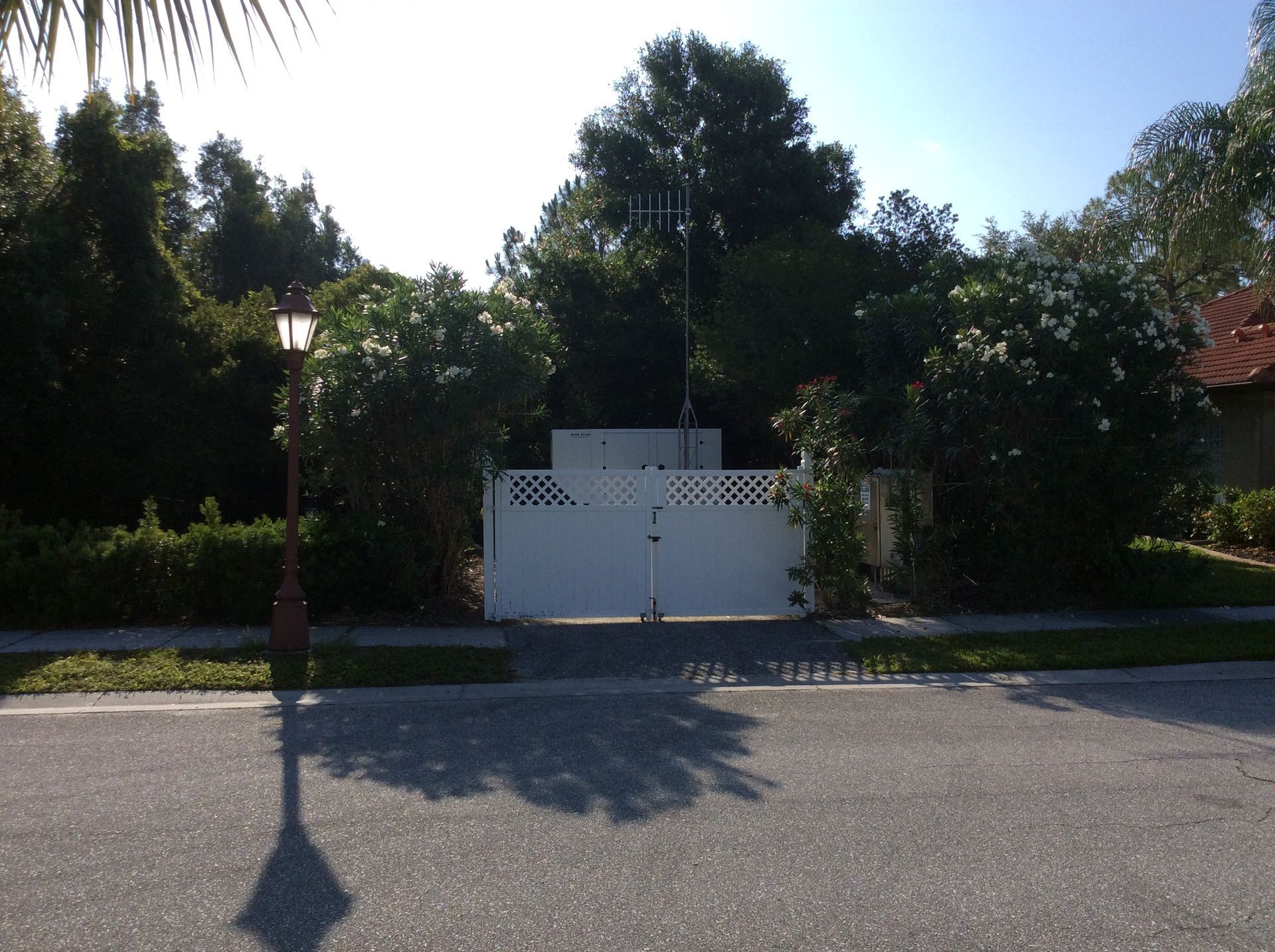 White gate and fence in front of a leafy residential property under bright sunlight.
