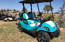 Custom Golf Car
