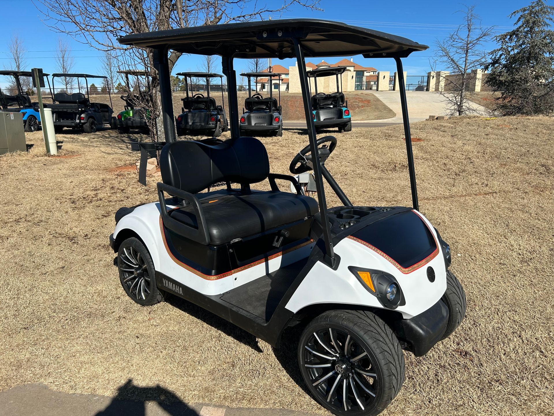 A white and black golf cart is parked in a grassy field