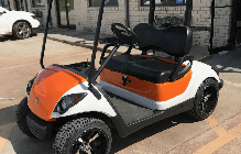 Custom Golf Car