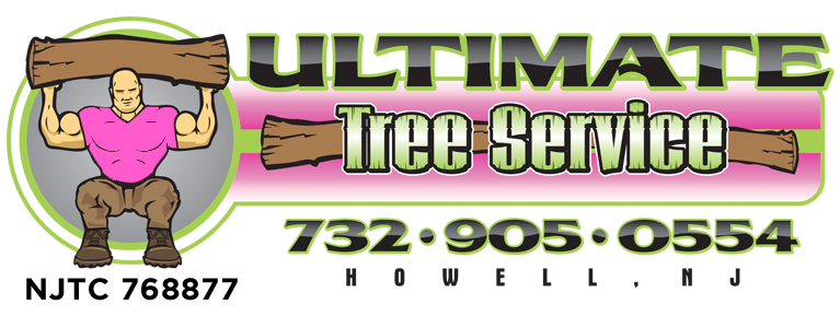 Tree Removal Freehold NJ