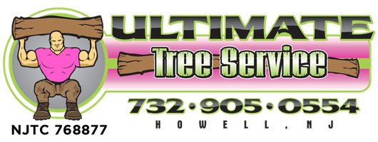 Tree Removal Freehold NJ