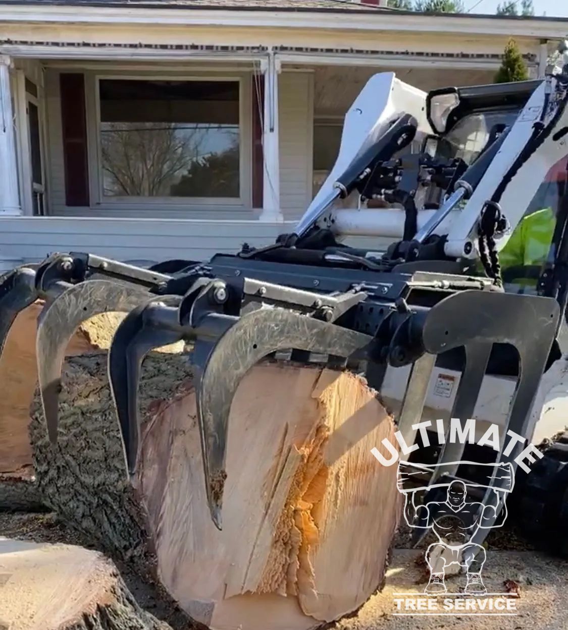 Tree removal