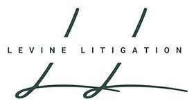 Levine Litigation LLC - logo