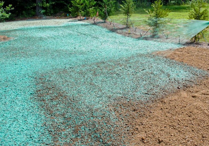 Newly seeded lawn area covered with blue-green mulch, transitioning to exposed brown soil and green vegetation in the background.