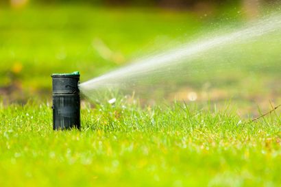 Sprinkler spraying water onto green grass