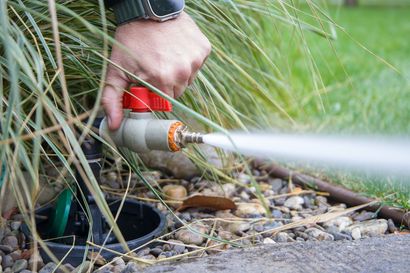 A person's hand turns a valve, spraying water into a garden bed with grass and rocks