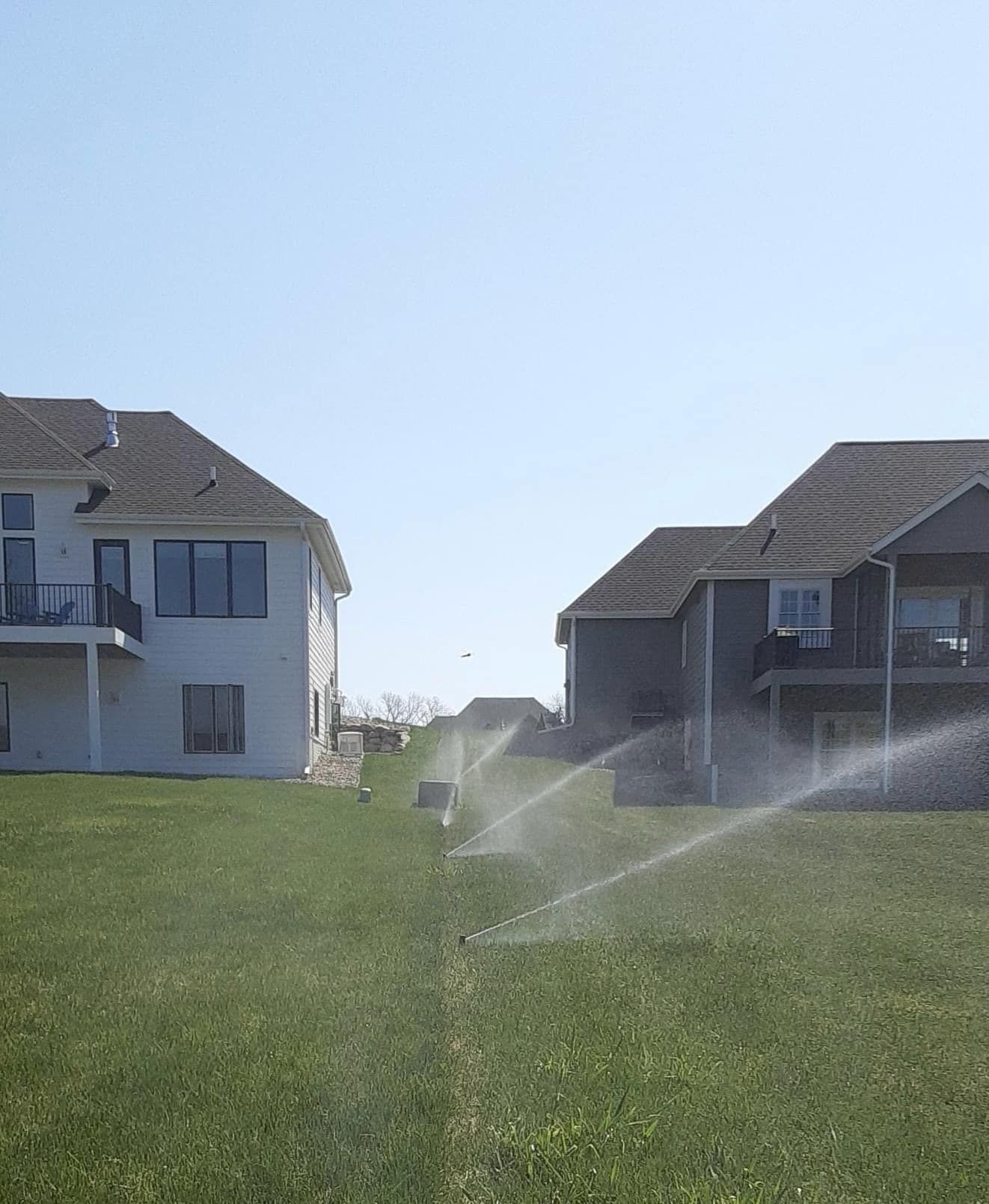 Lawn sprinklers watering a green lawn between two houses under a blue sky.