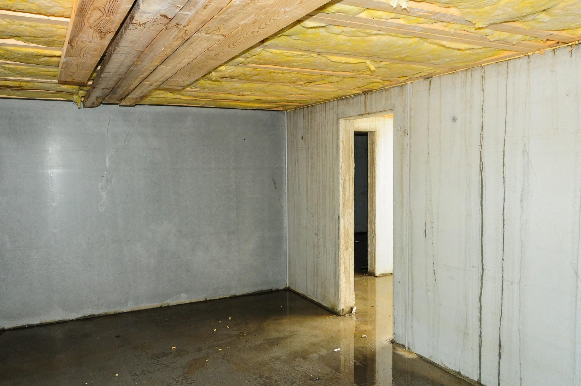 Empty unfinished basement with damp concrete floor, gray walls, and low exposed wooden ceiling.