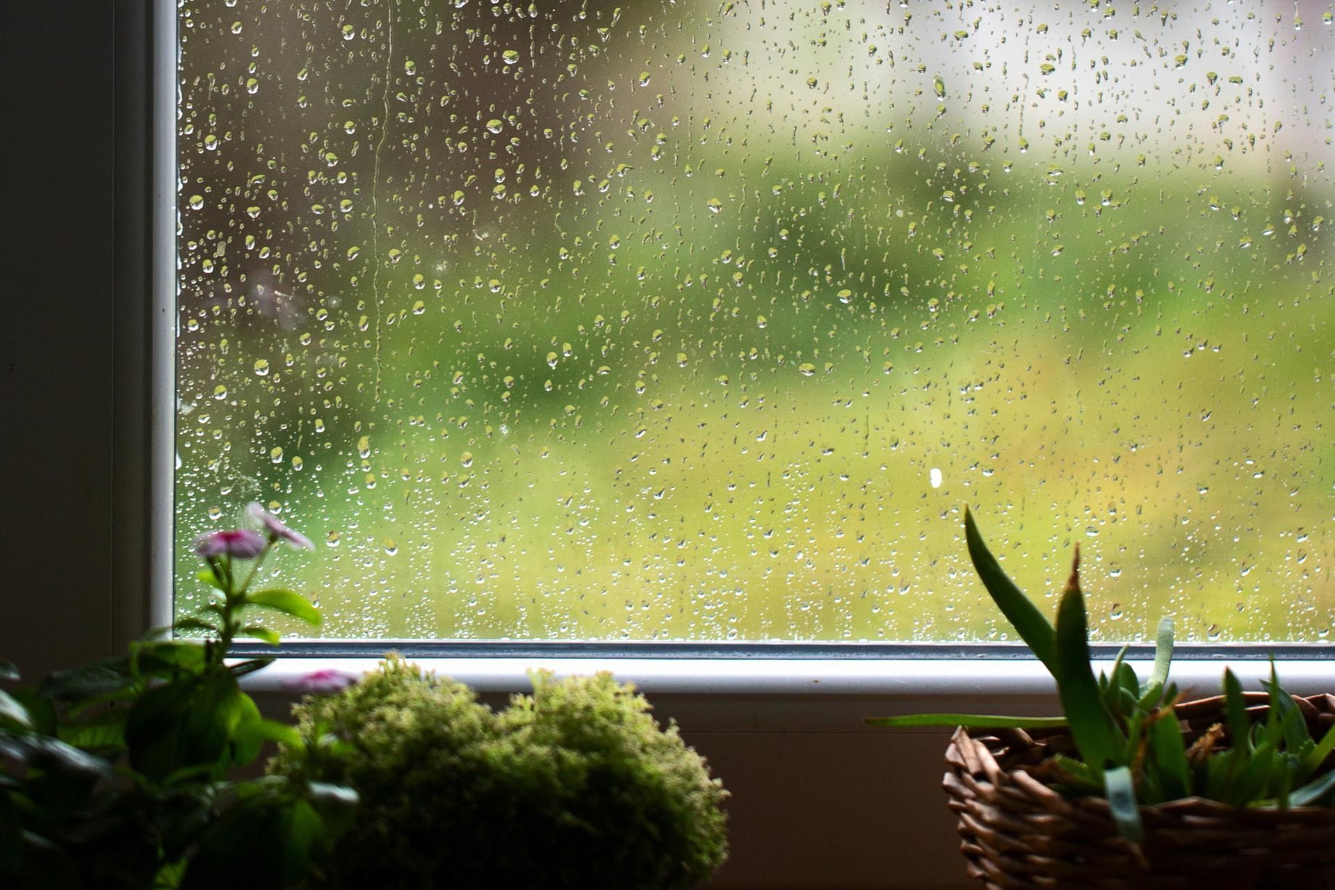 Rain-speckled window with blurred green garden outside and potted plants on the sill