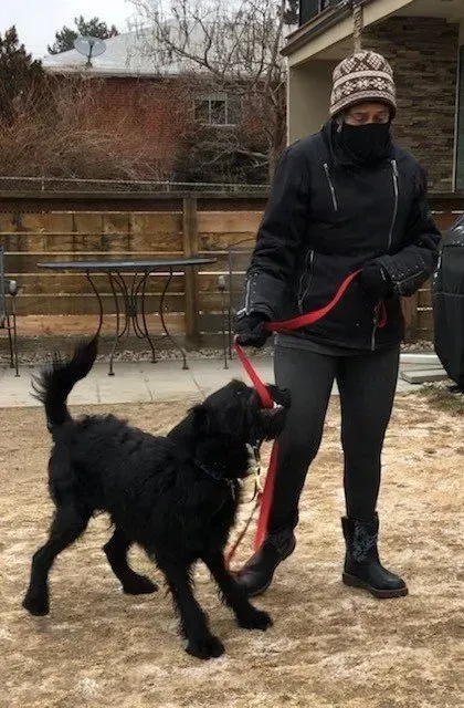 A woman is walking a black dog on a leash.