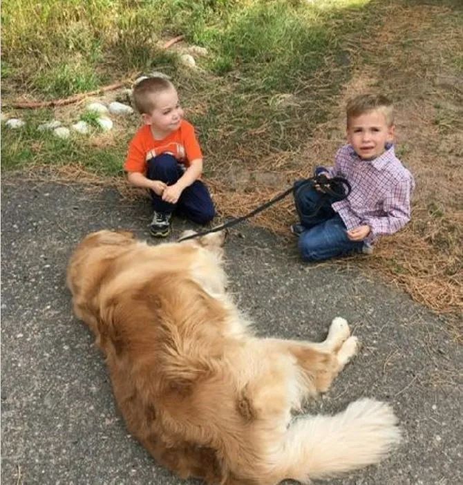 Two young boys sitting next to a dog on a leash