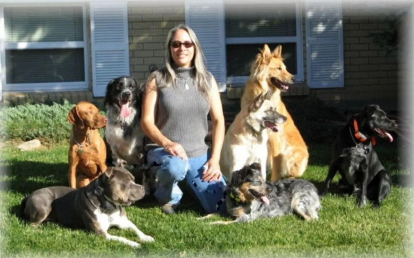 A woman is kneeling next to a group of dogs