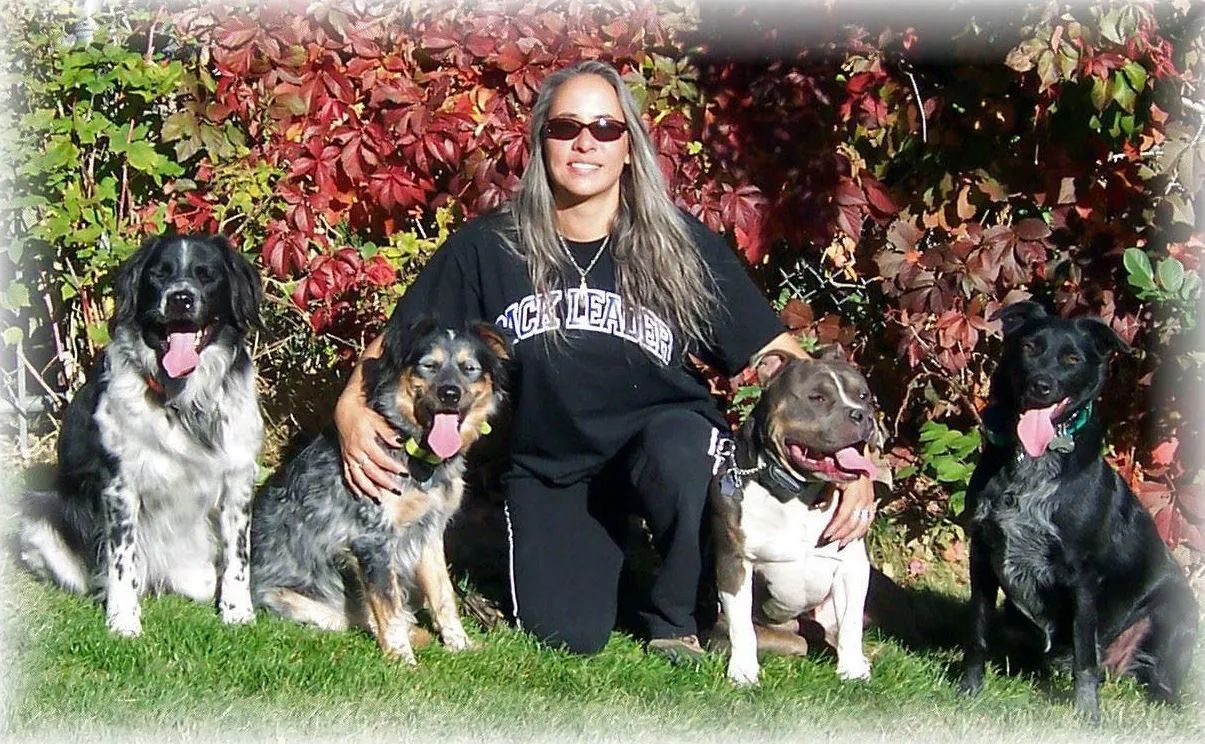 A woman wearing a t-shirt that says new york is posing with four dogs