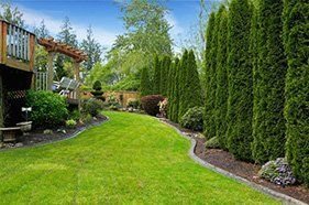 Lawn Care Services