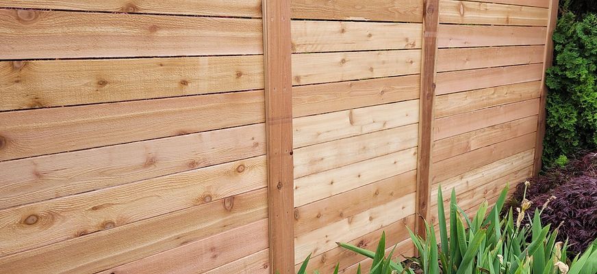 Wooden privacy fence with green plants in front.