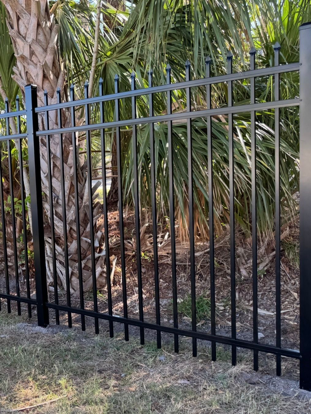 Black metal fence with vertical bars, bordering a grassy area with palm trees in the background.