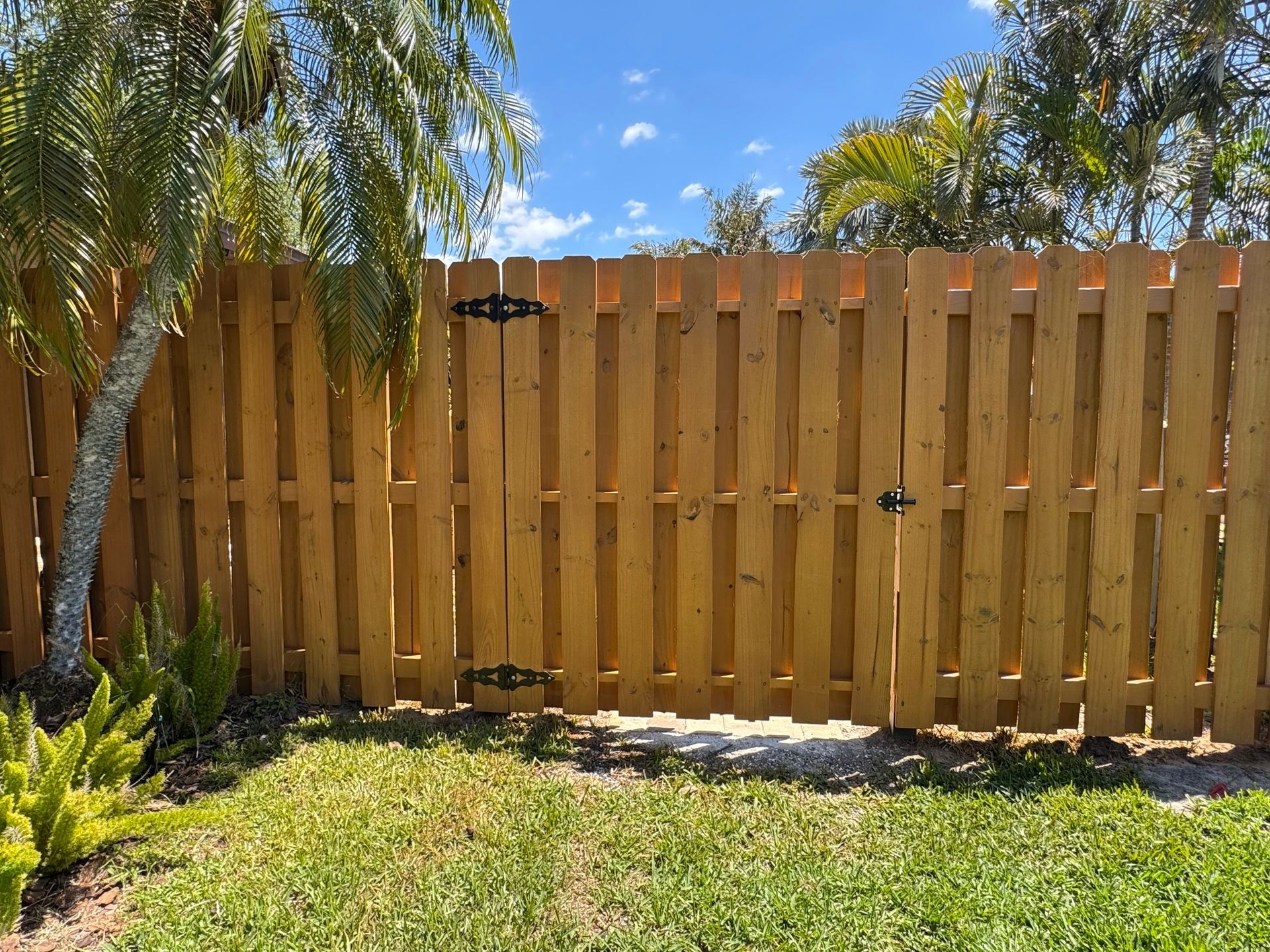 A wooden fence with a gate in a backyard, under a blue sky, surrounded by greenery.