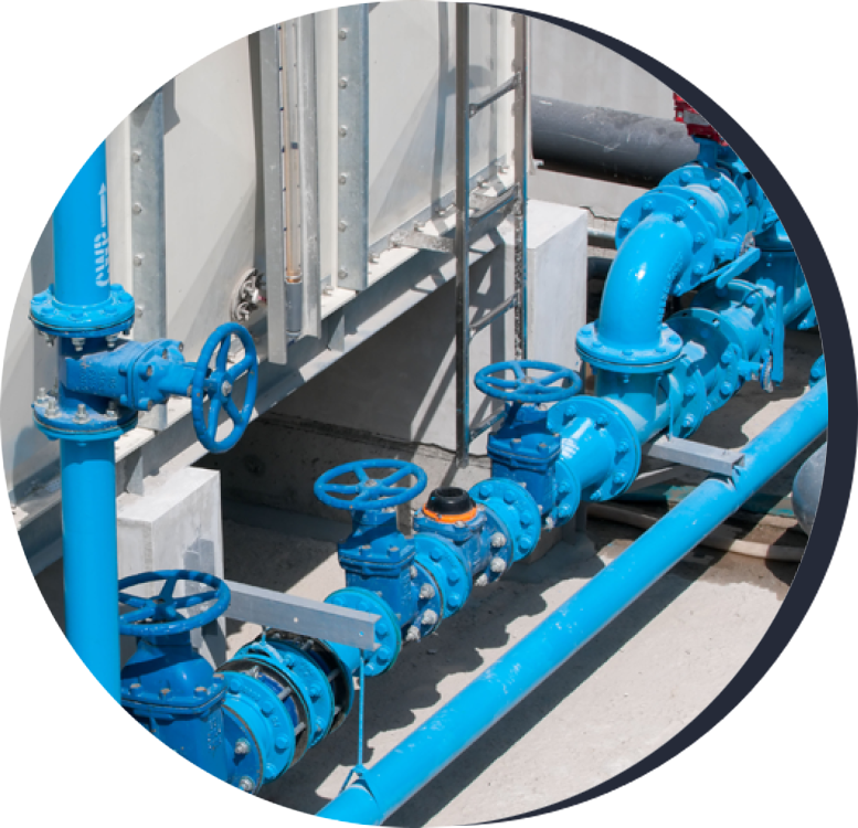 Backflow system