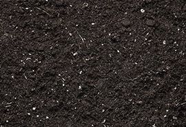 Black dirt