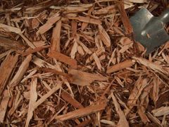 A shovel is sitting on top of a pile of wood chips.