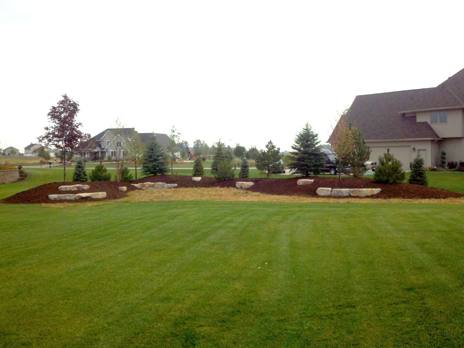 A lush green lawn with a house in the background