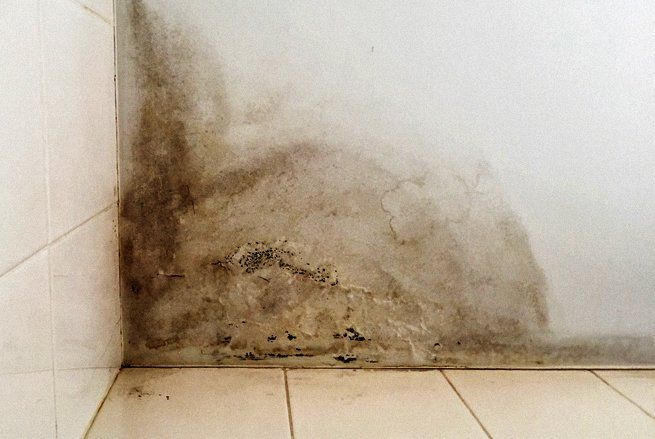 Learn More About Slab Leak Repair Slab leak