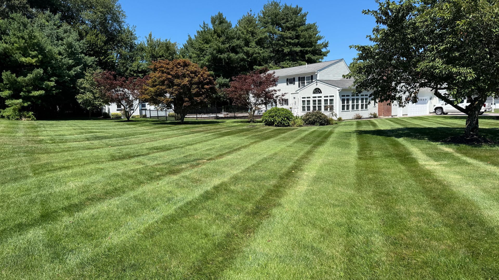 Well-manicured lawn with striped mowing pattern in front of a white house on a sunny day.