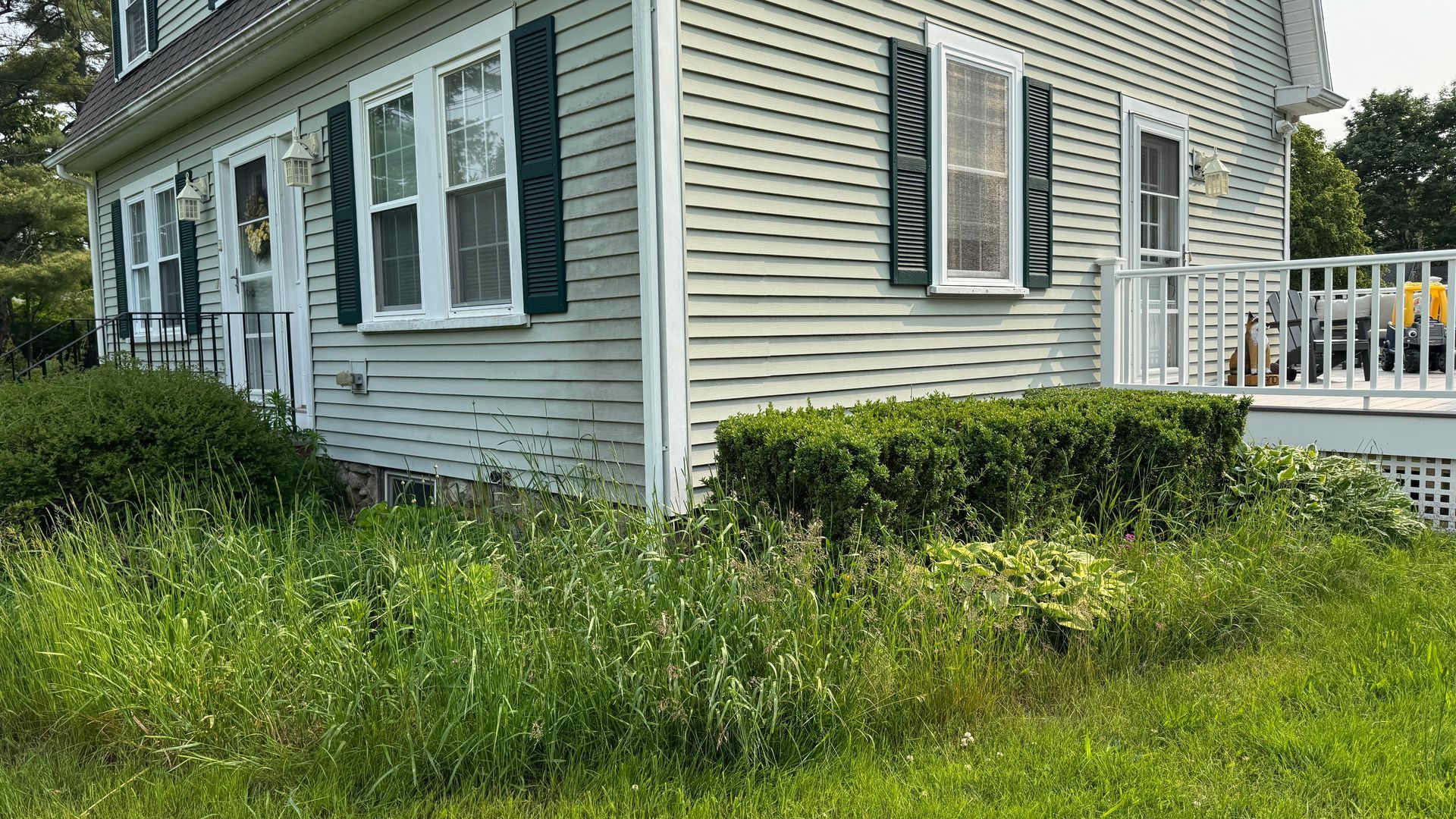 Green-sided house with white trim and dark green shutters, overgrown with weeds and grass.