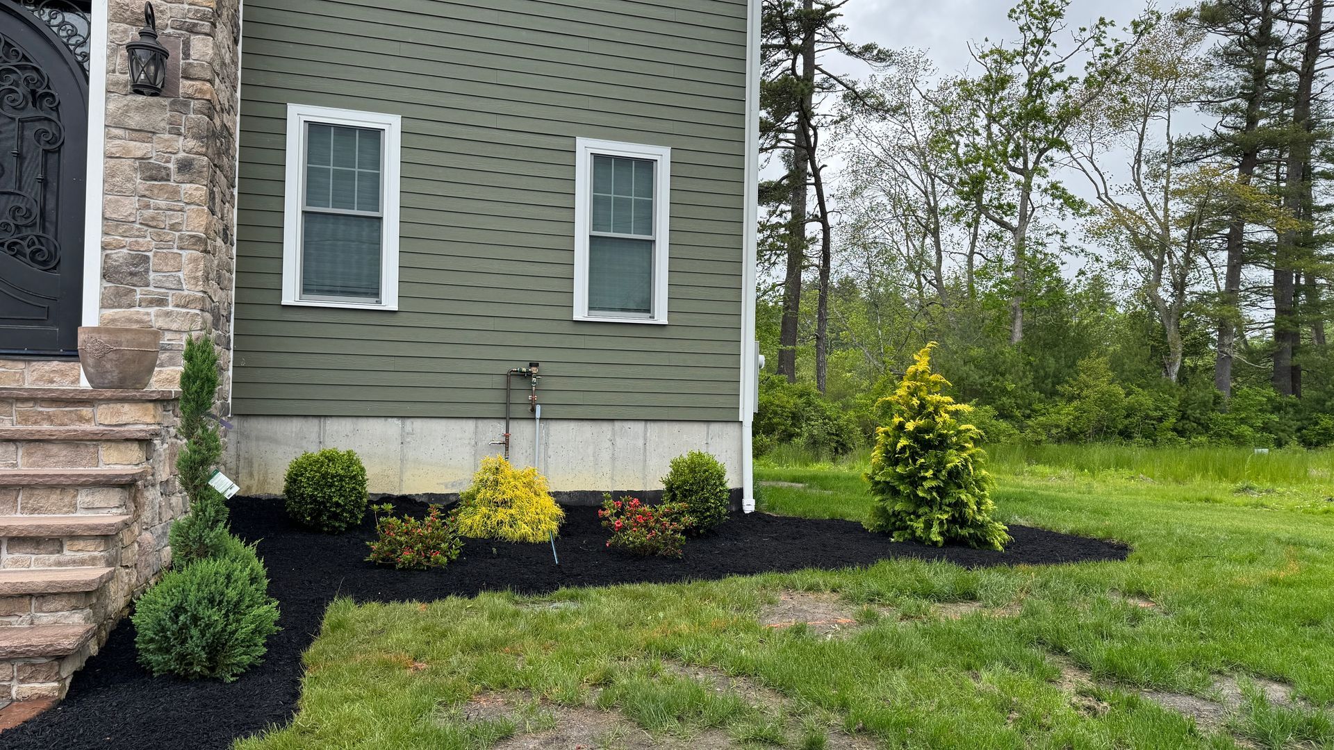 House exterior with landscaping: green siding, two windows, steps with stone facing. Black mulch with various shrubs.