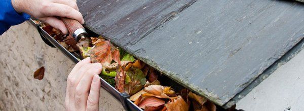 Gutter cleaning