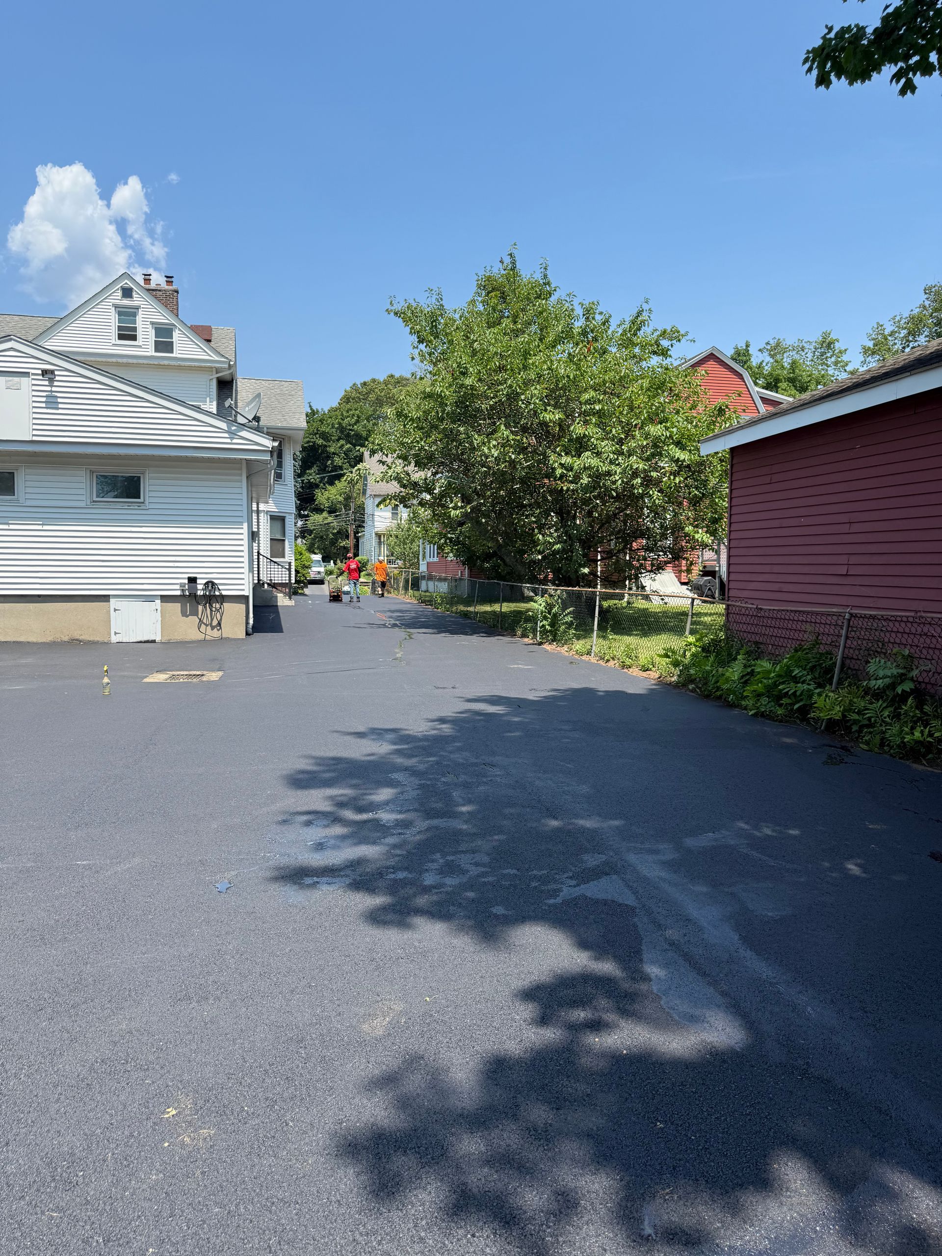 Asphalt driveway between white and red buildings, tree in the center under a blue sky on a sunny day.