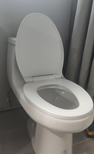 White toilet with seat lid up and a gray-tinted toilet bowl in a bathroom.