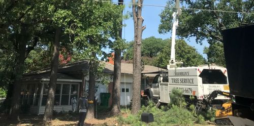 Tree service removing a tree in front of a house. A lift truck is used.