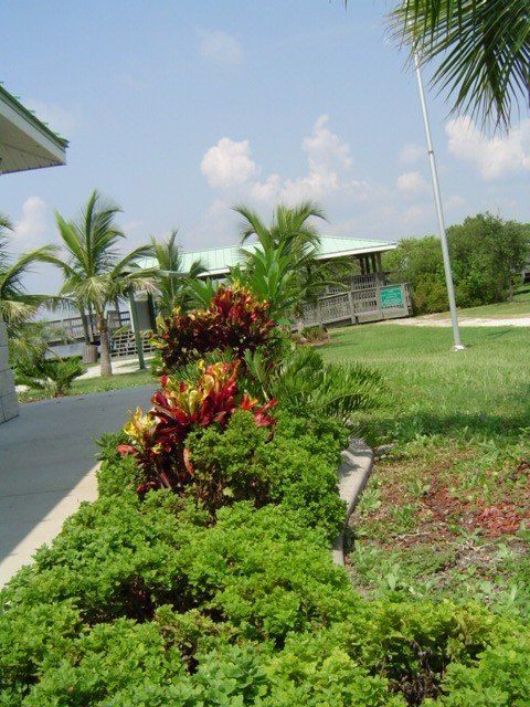 Stevenson Landscaping Project - Manatee Sanctuary 04