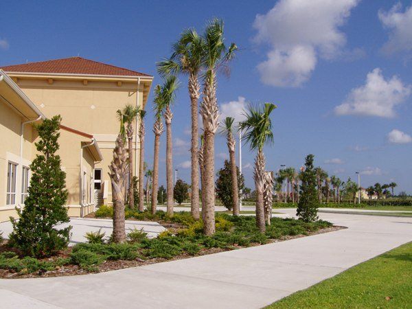 Stevenson Landscaping Project - Viera, Florida 02