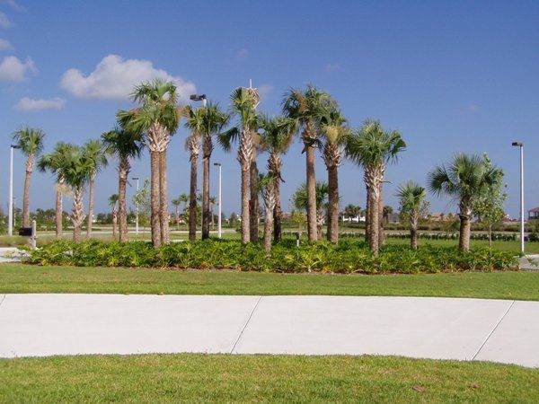 Stevenson Landscaping Project - Viera, Florida 03