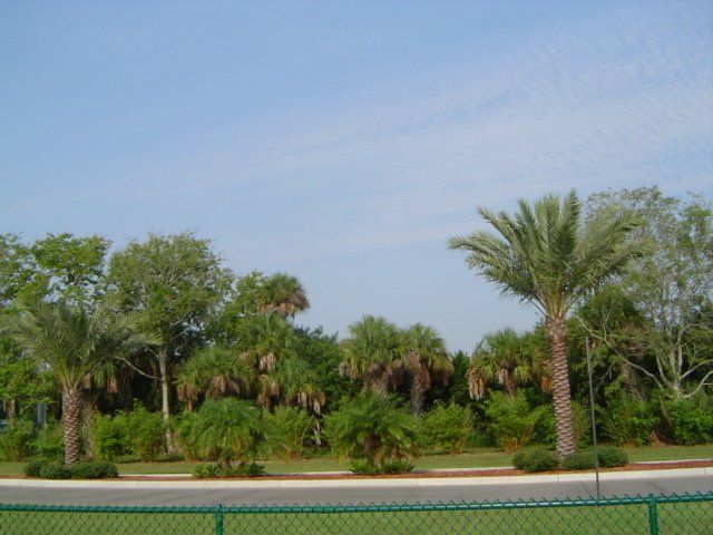 Stevenson Landscaping Project - Viera, Florida 05